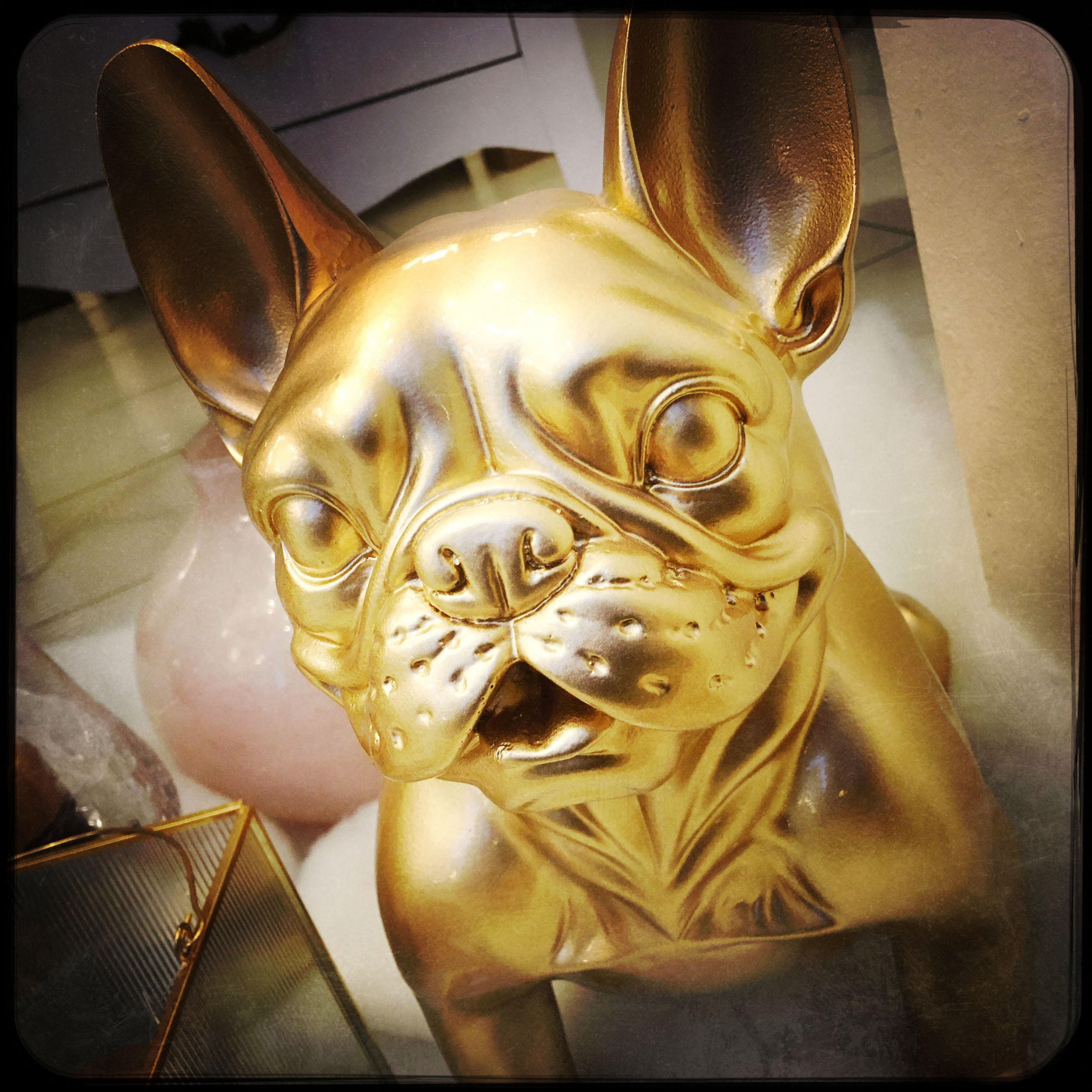 Vue frontale d'une sculpture couleur or d'un chien style bouledogue dans la vitrine d'un magasin