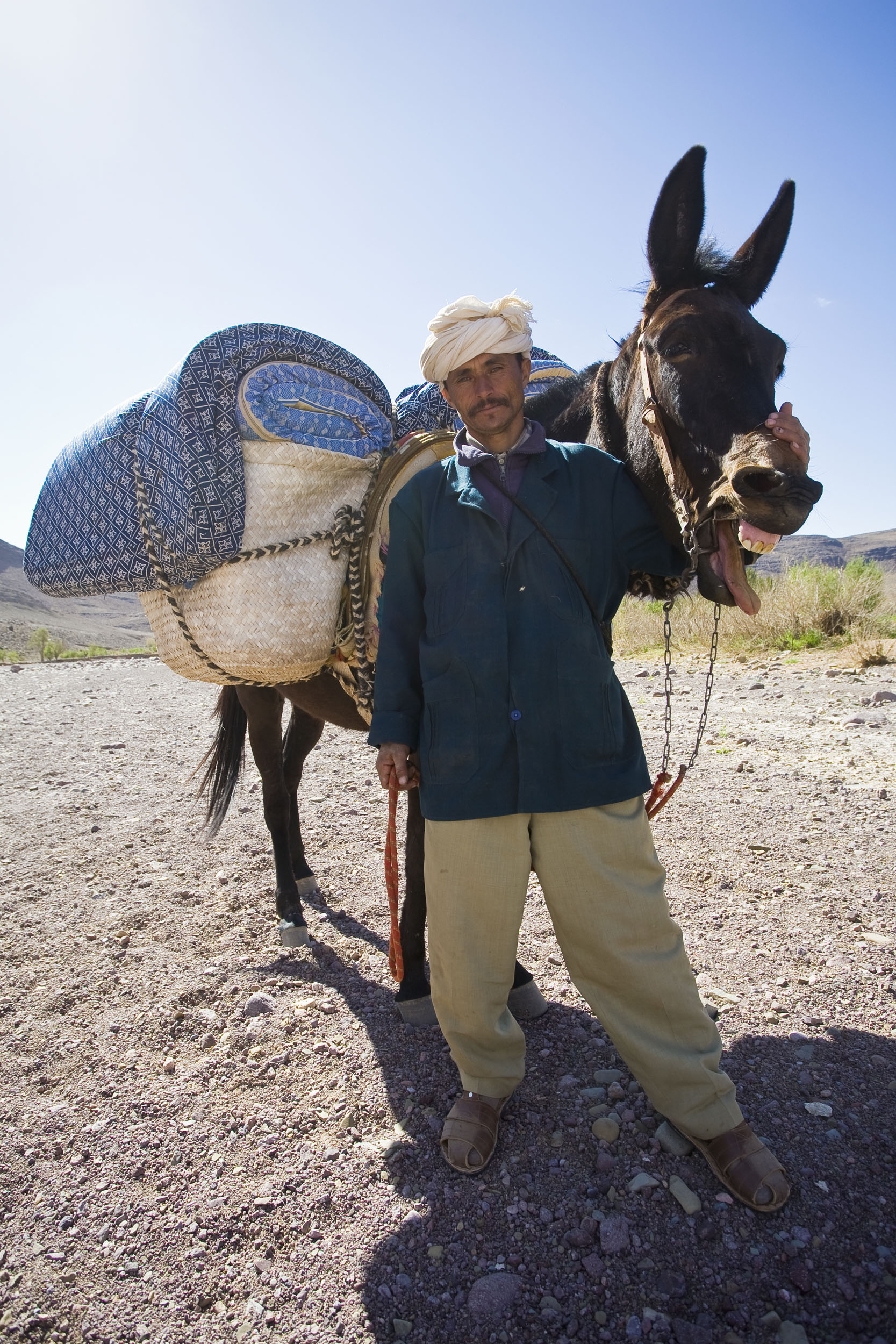 Portrait de plain-pied d'un nomade posant aux côtés de sa mule qui tire la langue dans les montagnes Marocaines.